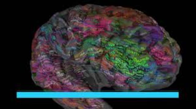 un atlas del cerebero