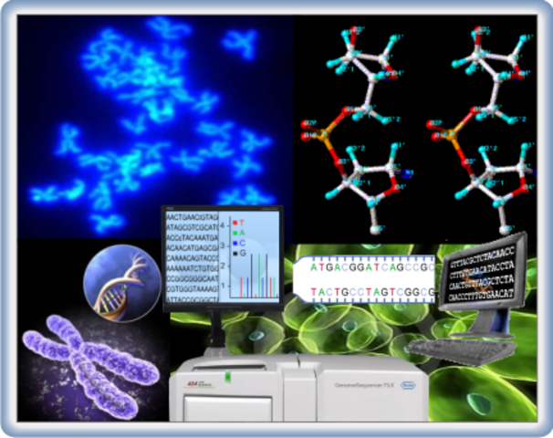 Biología computacional.