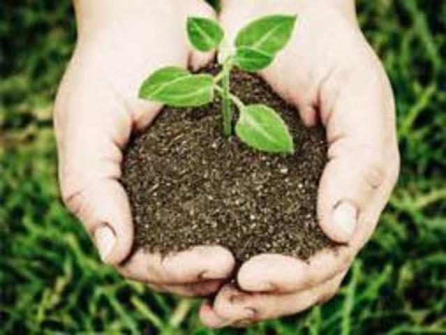 Revolución verde 2.0