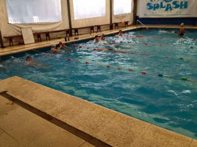 Empecé natación de nuevo