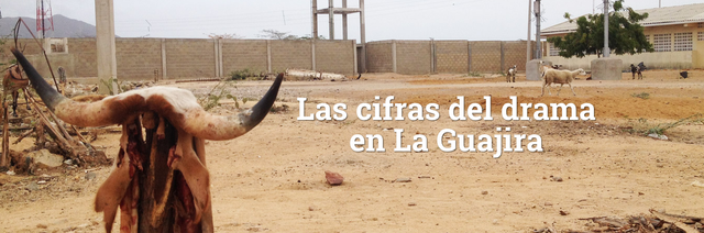 Cifras del drama en La Guajira