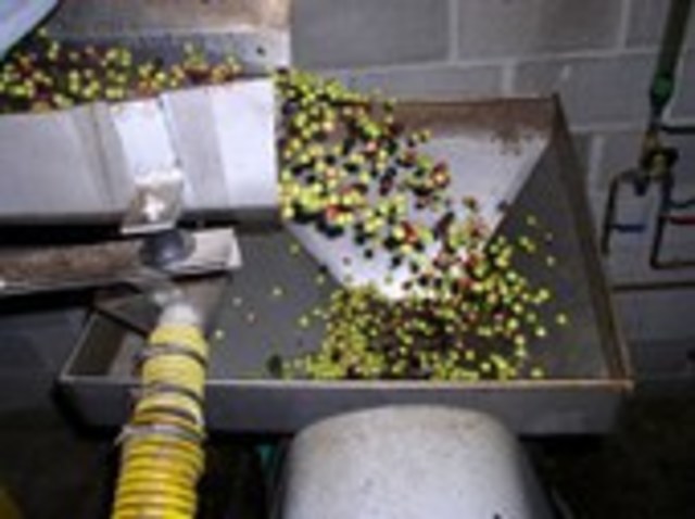 1R pas per la rompuda: