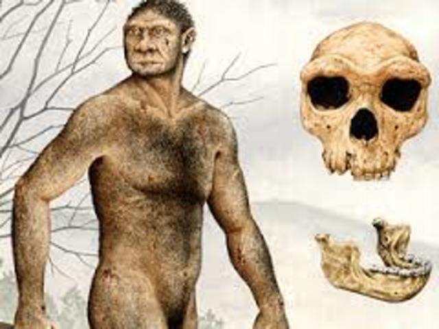 Homo heidelbergensis