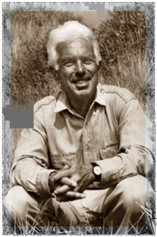 TEORÍA DEL DESARROLLO ORGANIZACIONAL