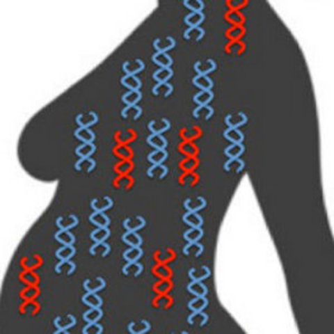 Secuenciación de ADN prenatal