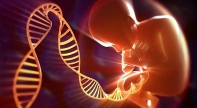 Secuenciación de ADN prenatal