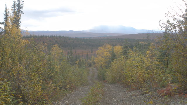 I went into the bush so I could peruse my dream of being in the bush of Alaska.