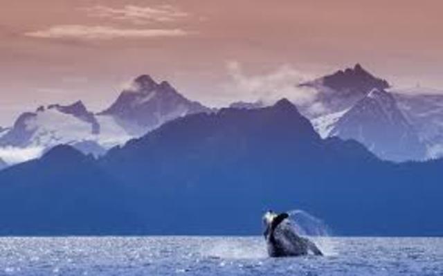 Kenai Fjords National Park is established