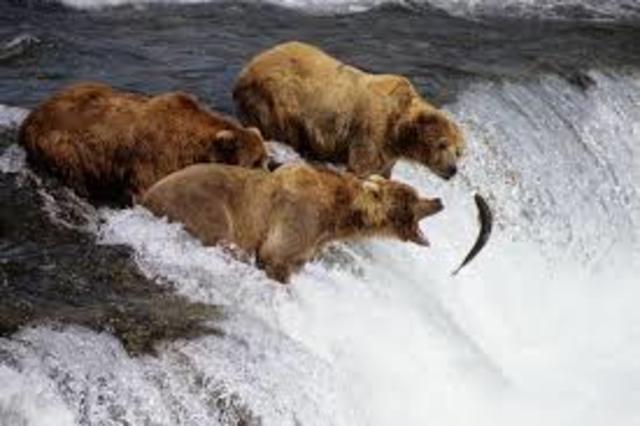 Katmai National Park is established