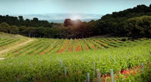 REVOLUCION VERDE 2.0