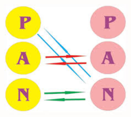 Análisis Transaccional