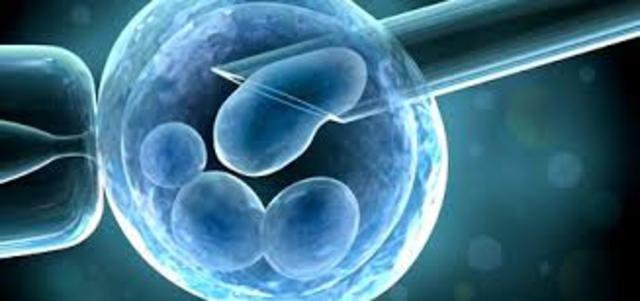 Ingeniería de la célula madre