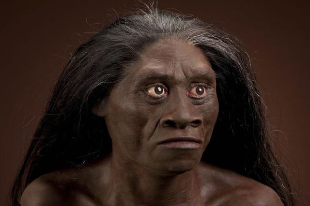 Homo floresiensis (Hombre de Flores)