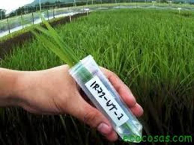 Genética en plantas