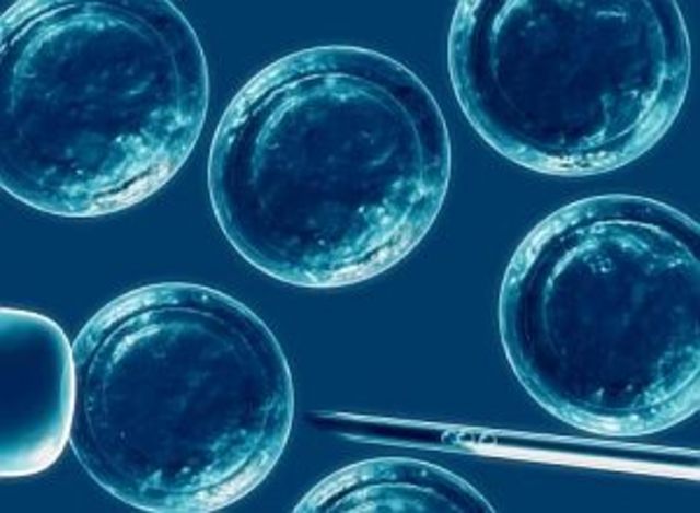 Ingenieria de celulas madre