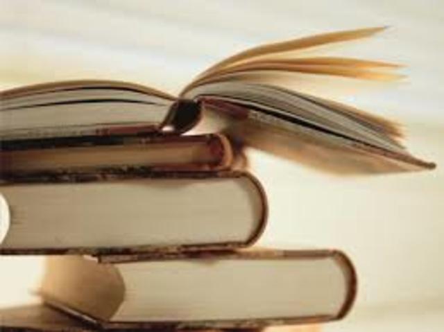 Primeros estados financieros