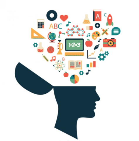 Psicología del Aprendizaje, enseñanza programada