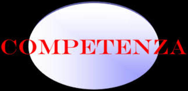 Competenza: dimensione oggettiva