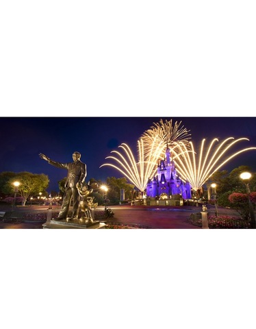 Fui a Disney World para el primero tiempo.