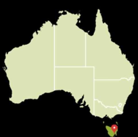 Van Diemens Land was colonised