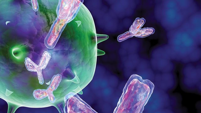 Anticuerpos de Acción Dual