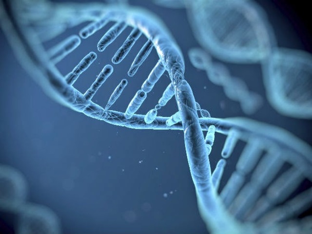 La primera fibra de vestir nano-tecnológica