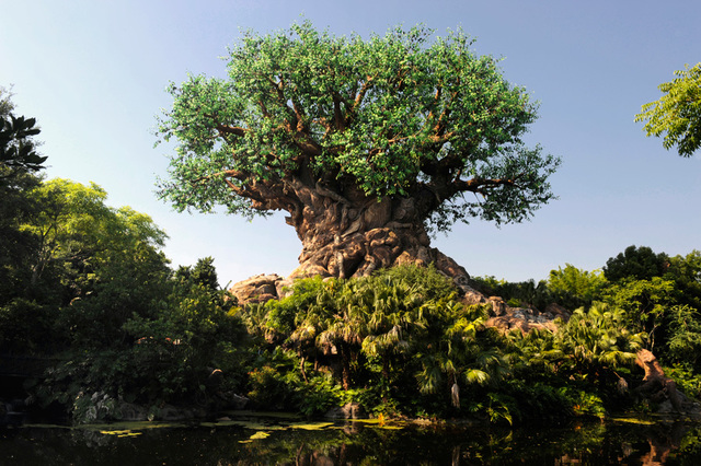 Animal Kingdom Opens