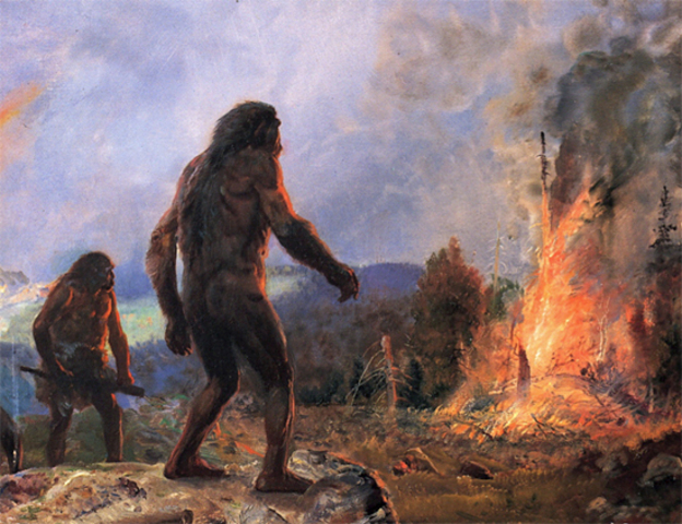 La domestication du feu