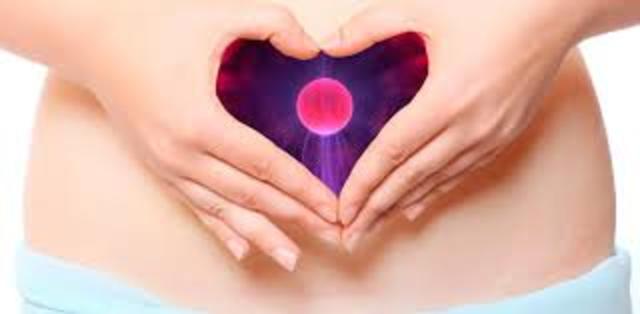 Células madres ováricas