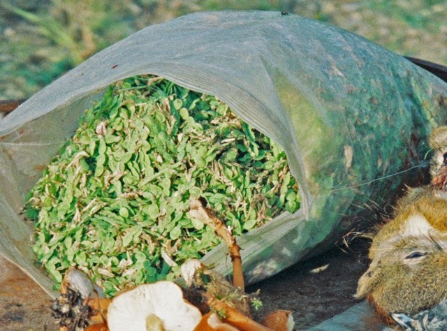 Alex's lifestyle is shattered