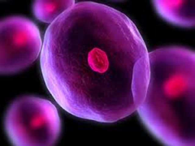 Células sintéticas