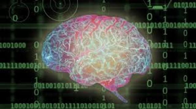 Teoría del Desarrollo Organizacional.