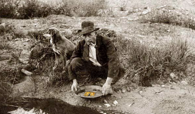 The gold rush 1901