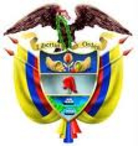 Constitucion Nacional de 1991