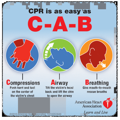 ACTUALIZACIONES 2010. INTRODUCCION DEA