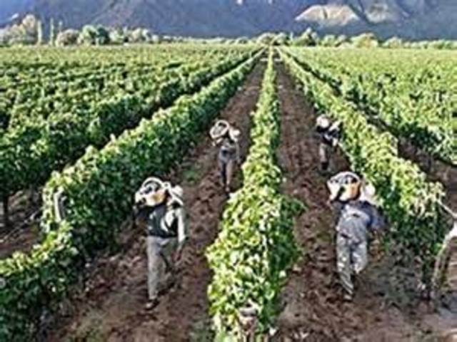 Surgen las primeras economías regionales