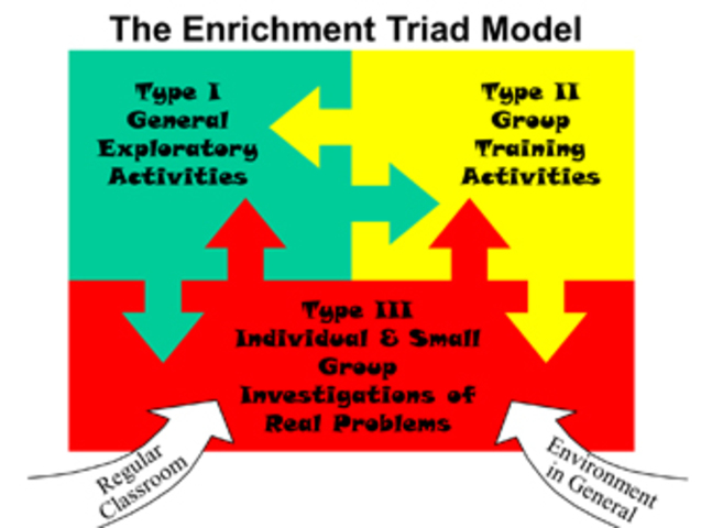 Type III Enrichment: Individual and Small Group Investigations of Real Problems
