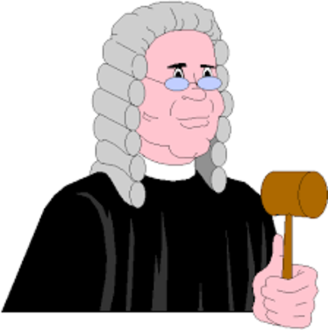 Artículos 7 y 8 de la ley 1314