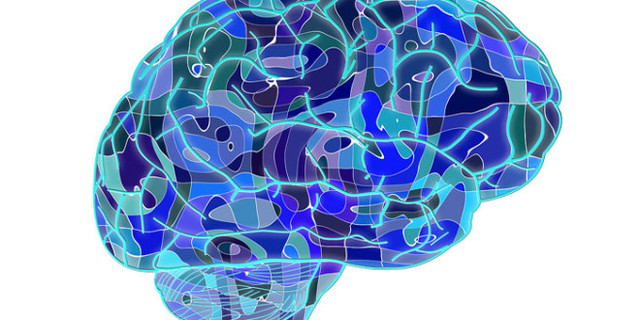 Un circuito cerebral borra memorias