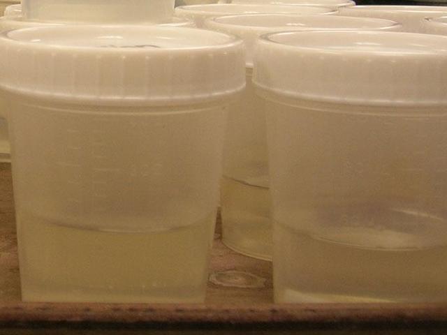 Real Problems Today We Get To Be Real Professionals