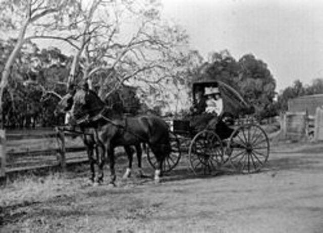 Transport and Communication Began