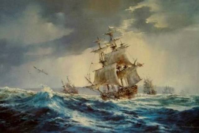 The first fleet arived in australia