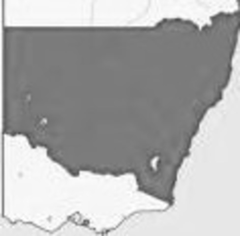 Creating more colonies