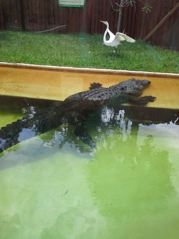 Mi familia y yo fuimos a Florida