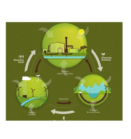 Carta Mundial de la ONU para la Naturaleza y Creación del Instituto de Recursos Mundiales (WRI)