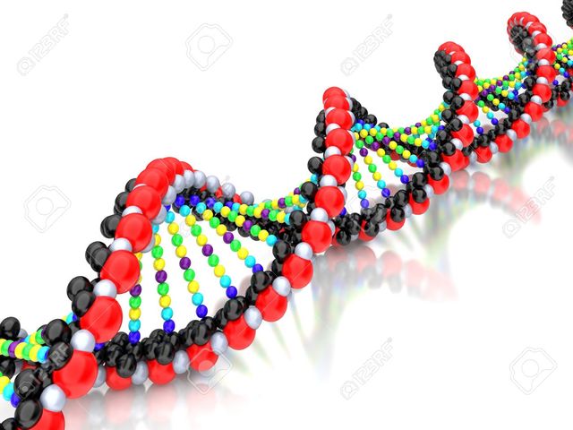 Desarrollo de la genética y descubrimiento estructura del ADN