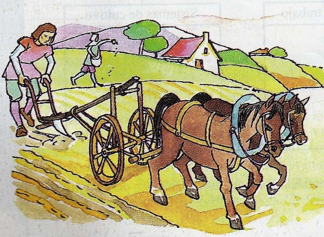 Etapa de Inspección