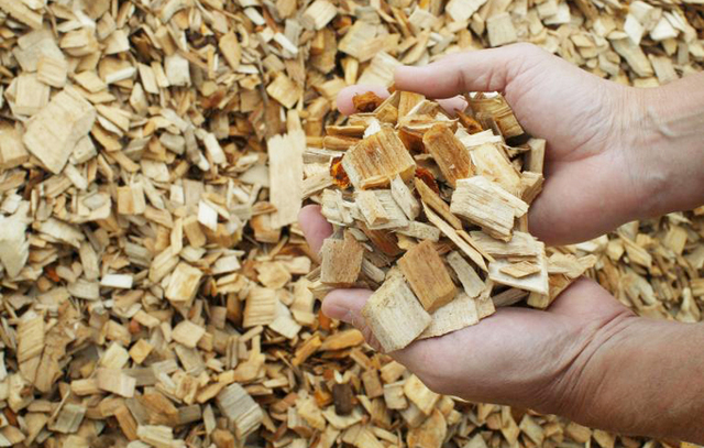 FABRICACIÓN DEL PAPEL CON LA PULPA DE MADERA EN SAJONIA.