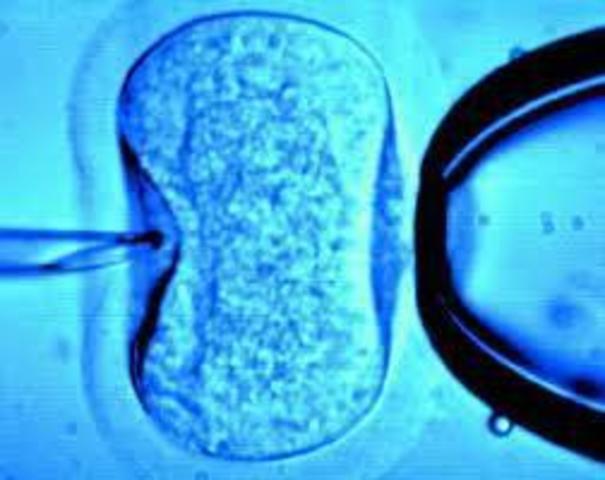 El primer bebé concebido in Vitro