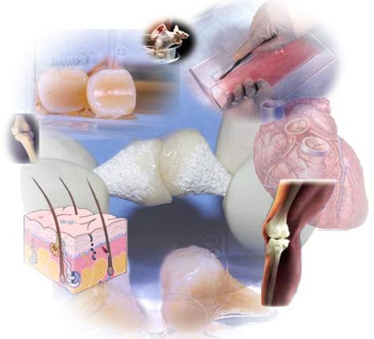 La ingenieria inyectable de tégidos